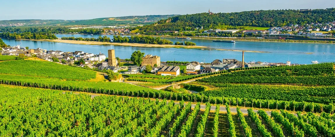 Hochklassige Hochzeit mit DJ Alex Barnett im Rheingau und Wiesbaden