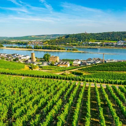 Hochklassige Hochzeit mit DJ Alex Barnett im Rheingau und Wiesbaden